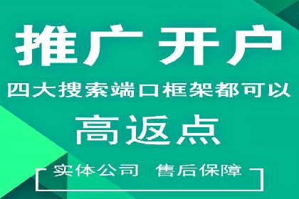 SEM投放案例：助力企业业绩增长